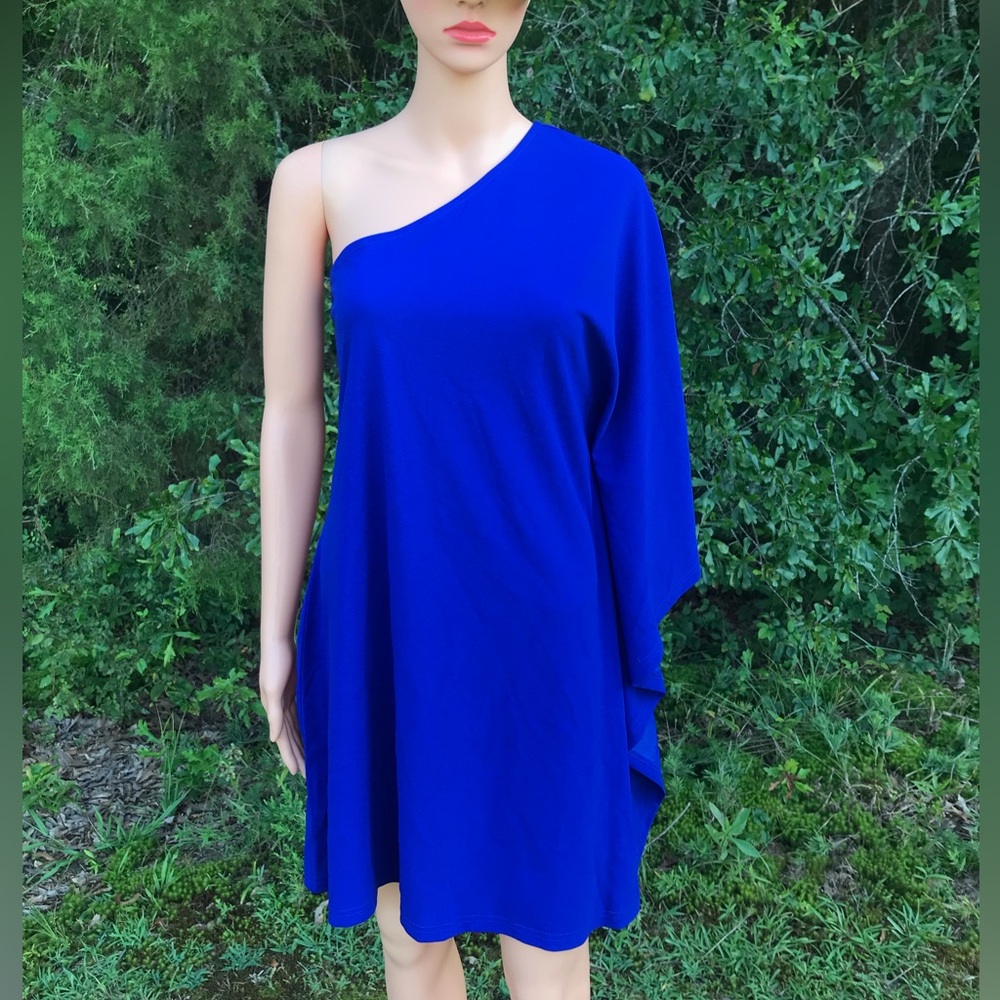 NWT One-Shoulder Blue Batwing Dress